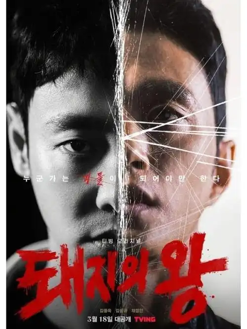 光棍影视 狂飙 高清电视剧在线观看